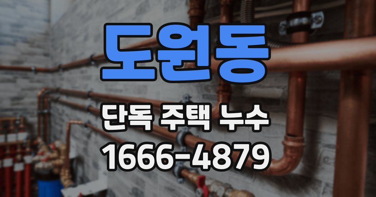 도원동 단독 주택 누수