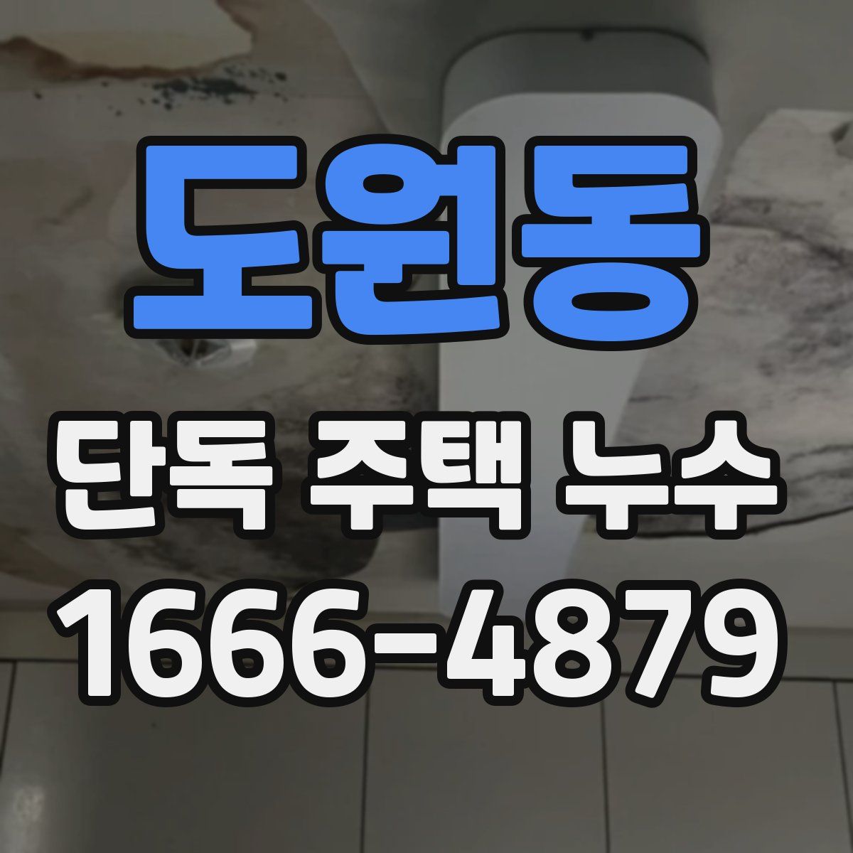 도원동 단독 주택 누수