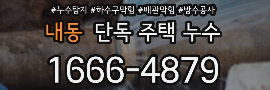 내동 단독 주택 누수