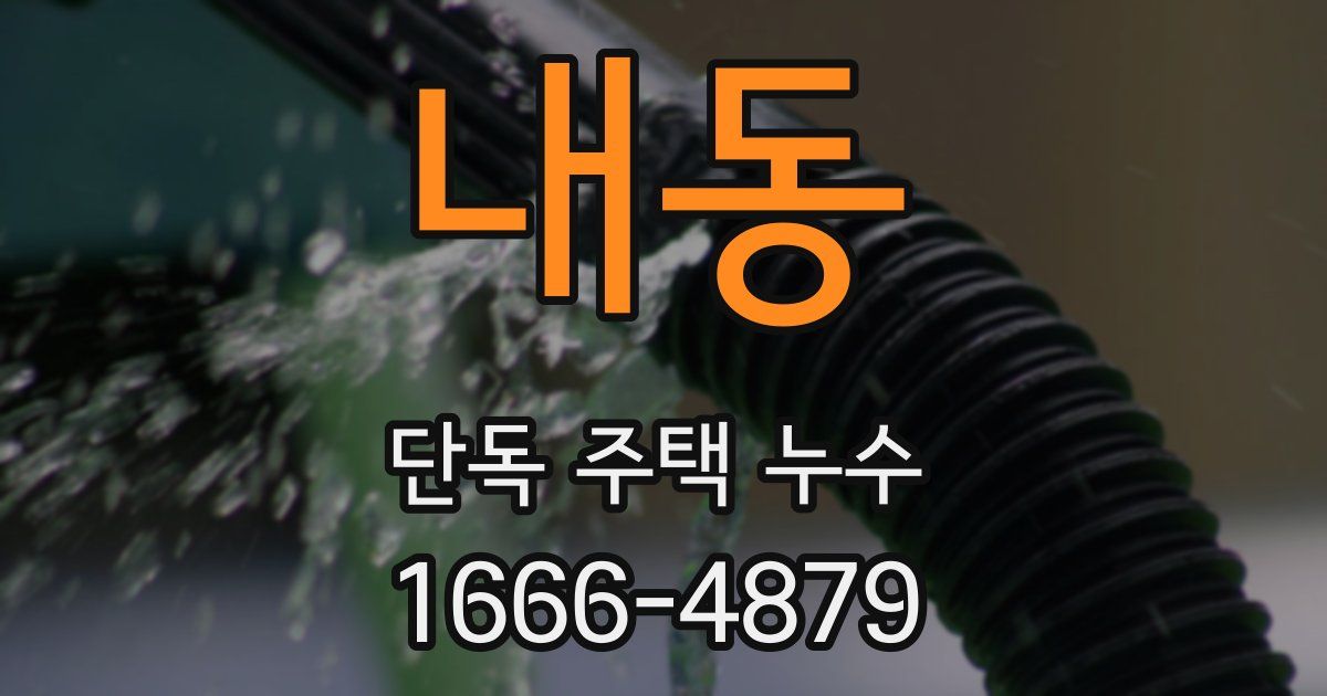 내동 단독 주택 누수