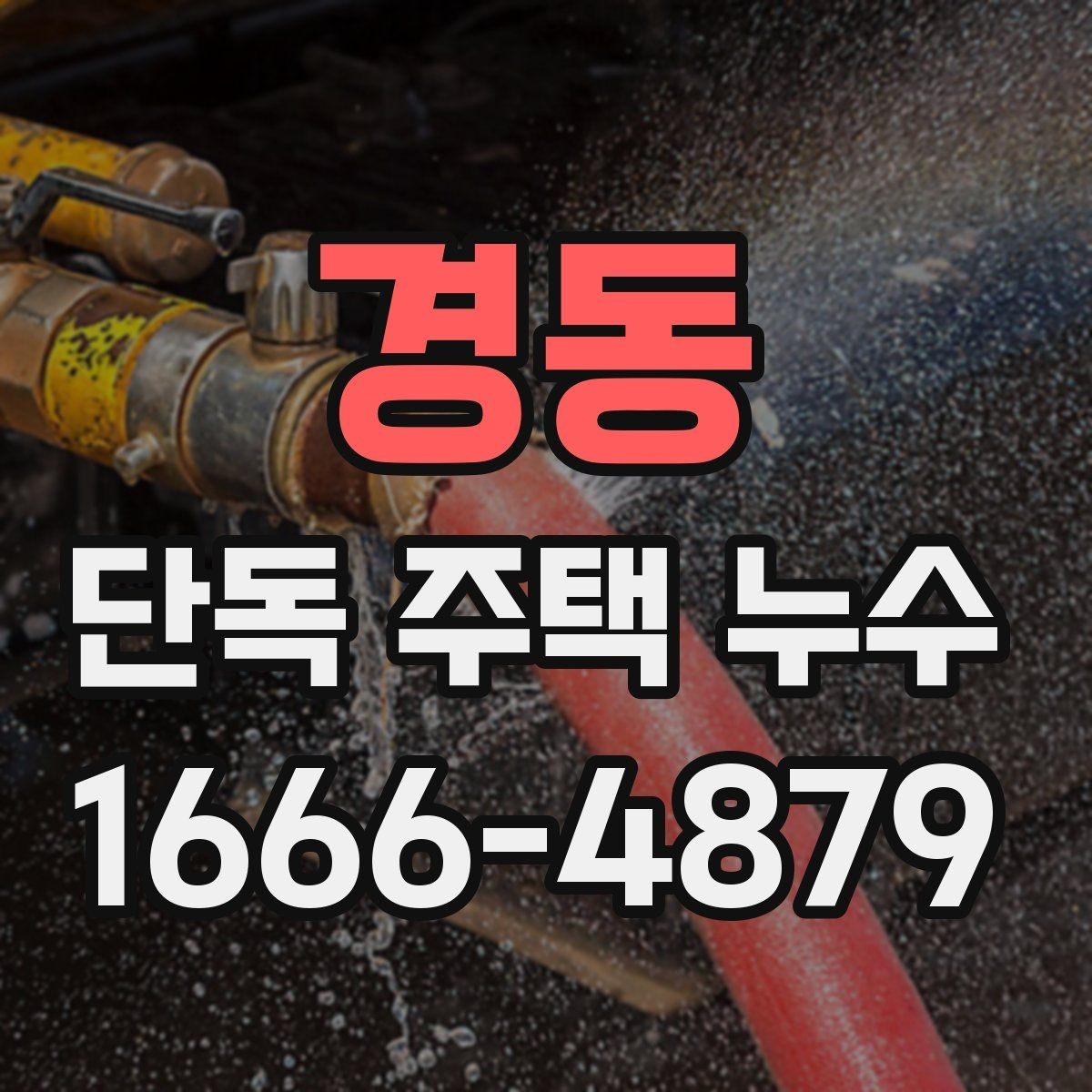경동 단독 주택 누수 확인 후 다음 단계 안내