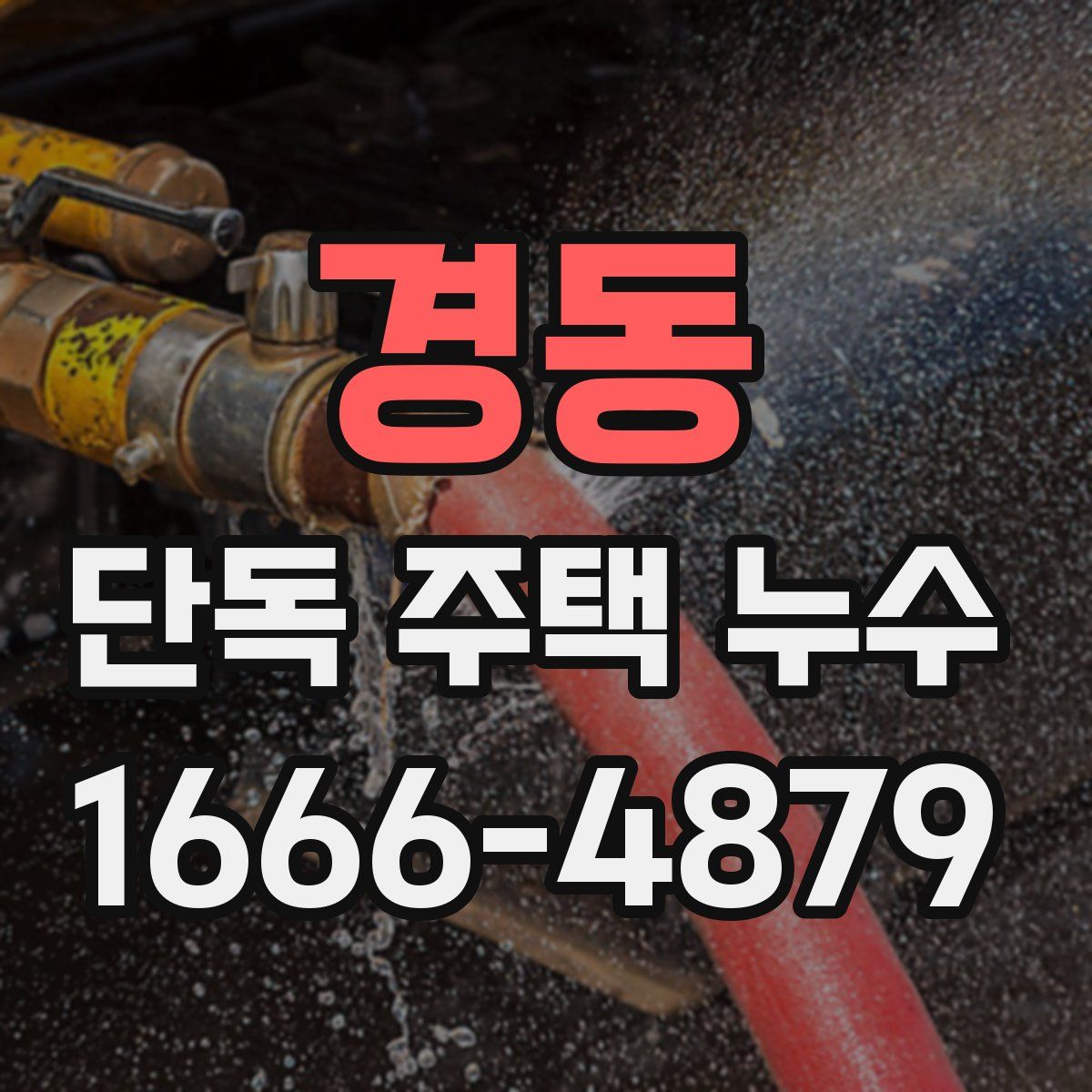 경동 단독 주택 누수