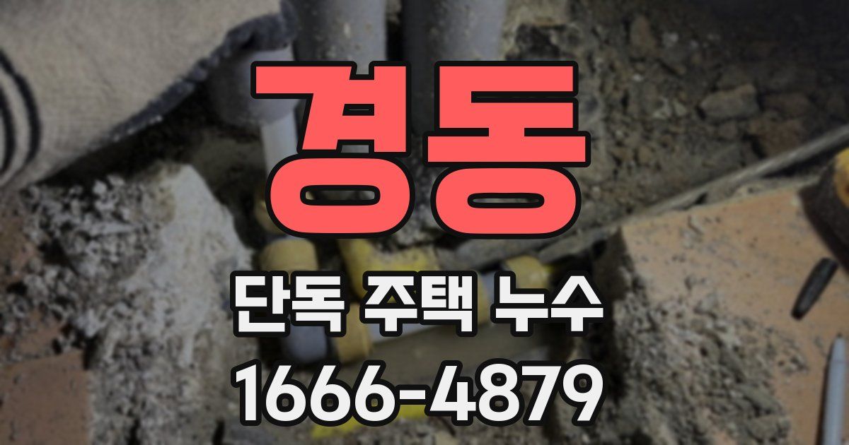 경동 단독 주택 누수