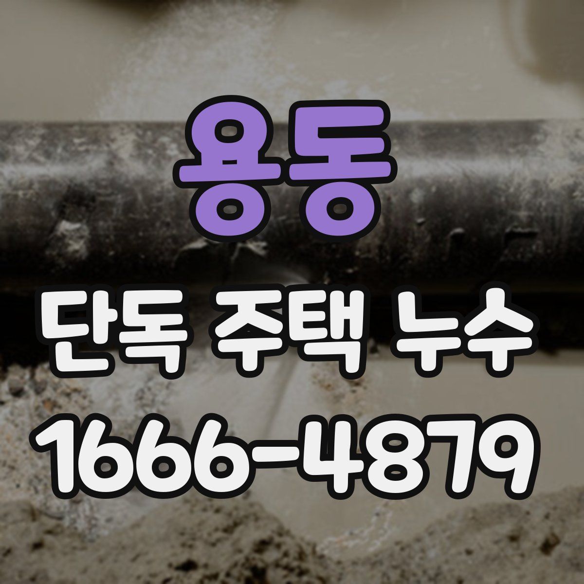 용동 단독 주택 누수
