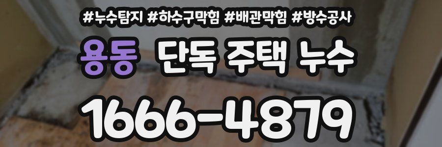 용동 단독 주택 누수