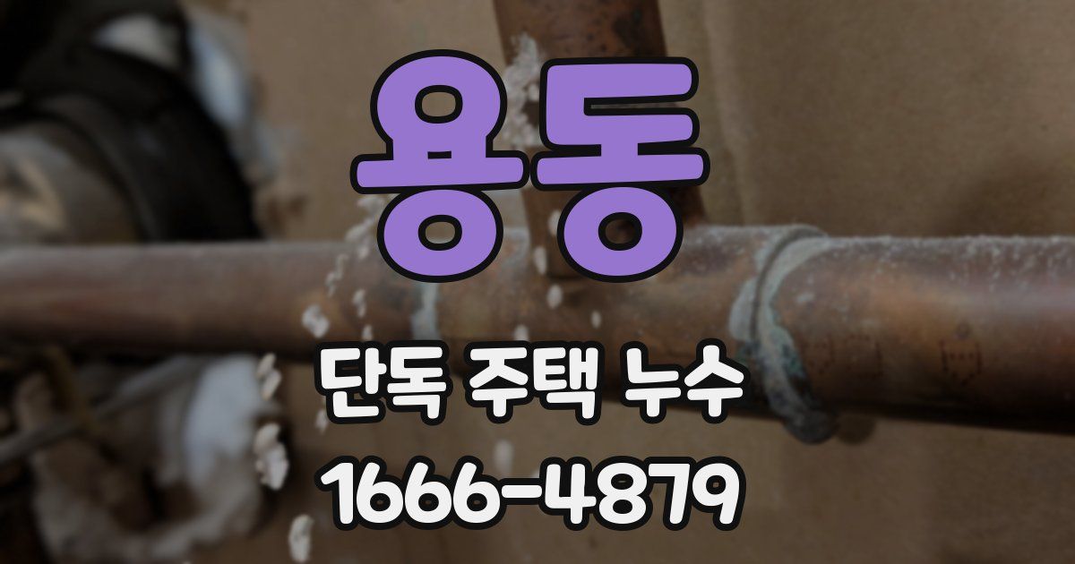 용동 단독 주택 누수