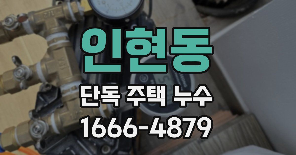 인현동 단독 주택 누수