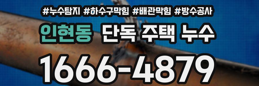 인현동 단독 주택 누수