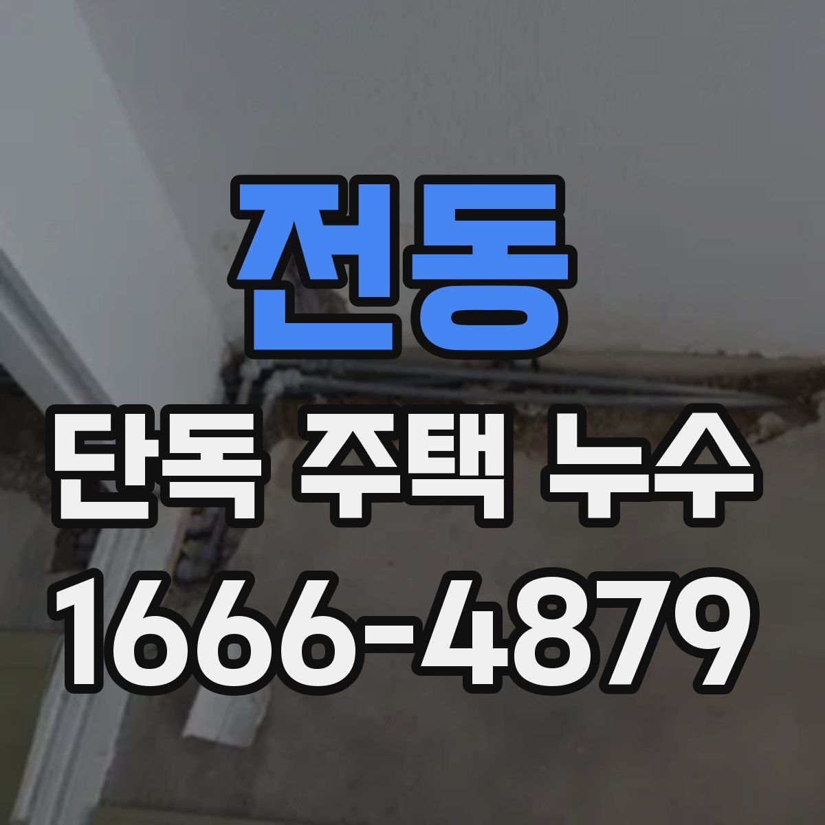 전동 단독 주택 누수