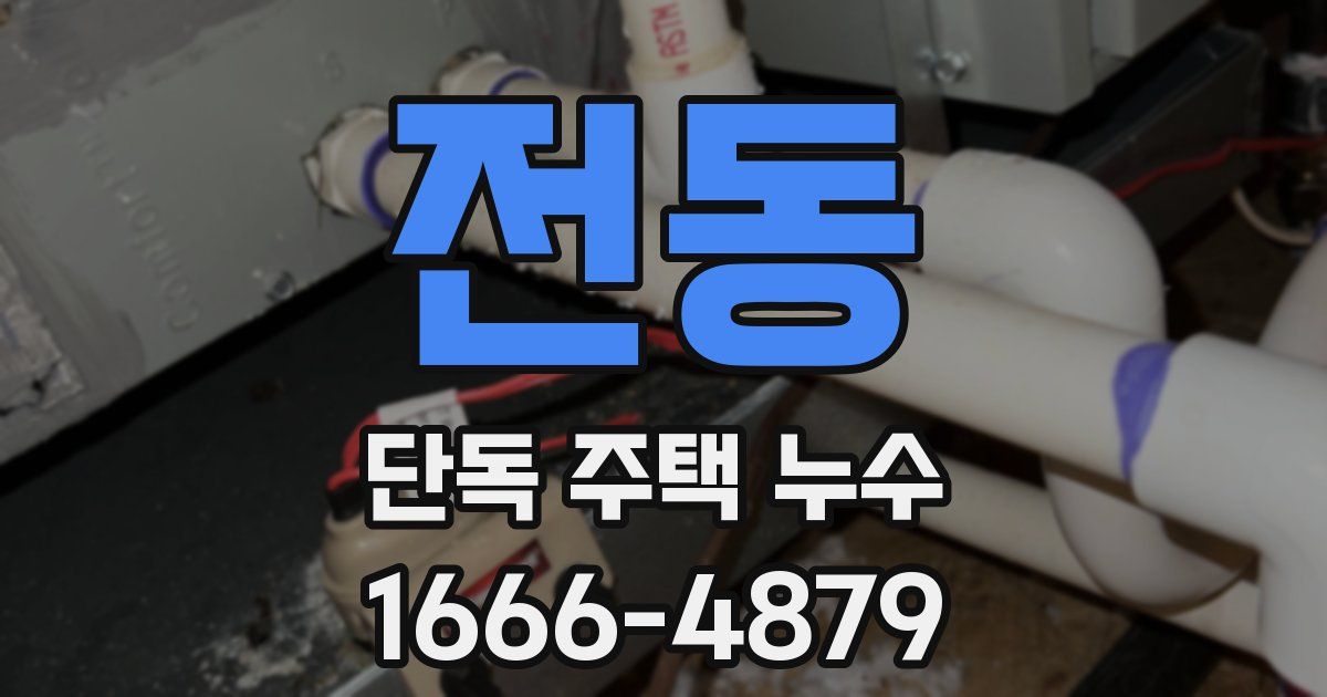 전동 단독 주택 누수