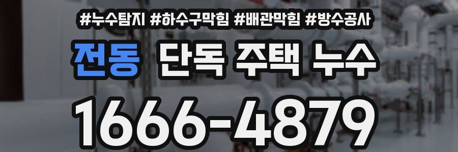전동 단독 주택 누수