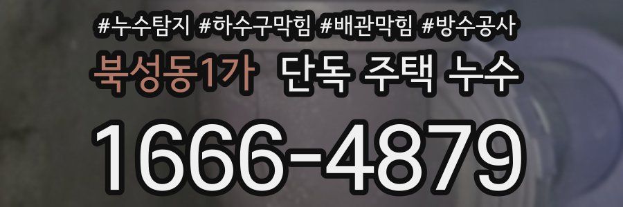 북성동1가 단독 주택 누수