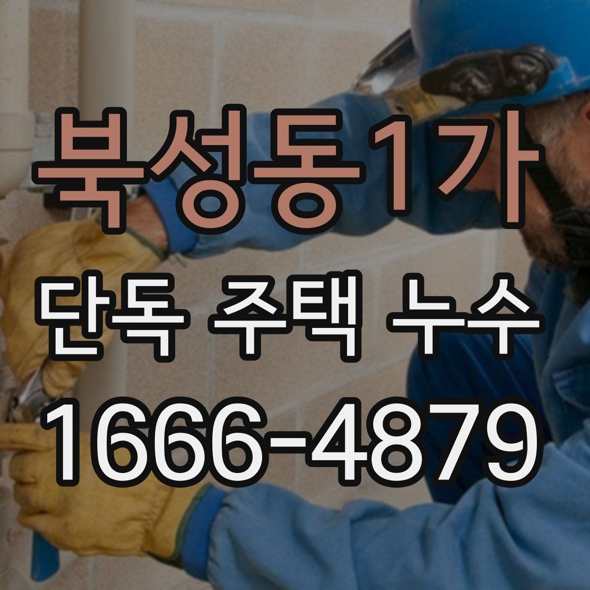 북성동1가 단독 주택 누수