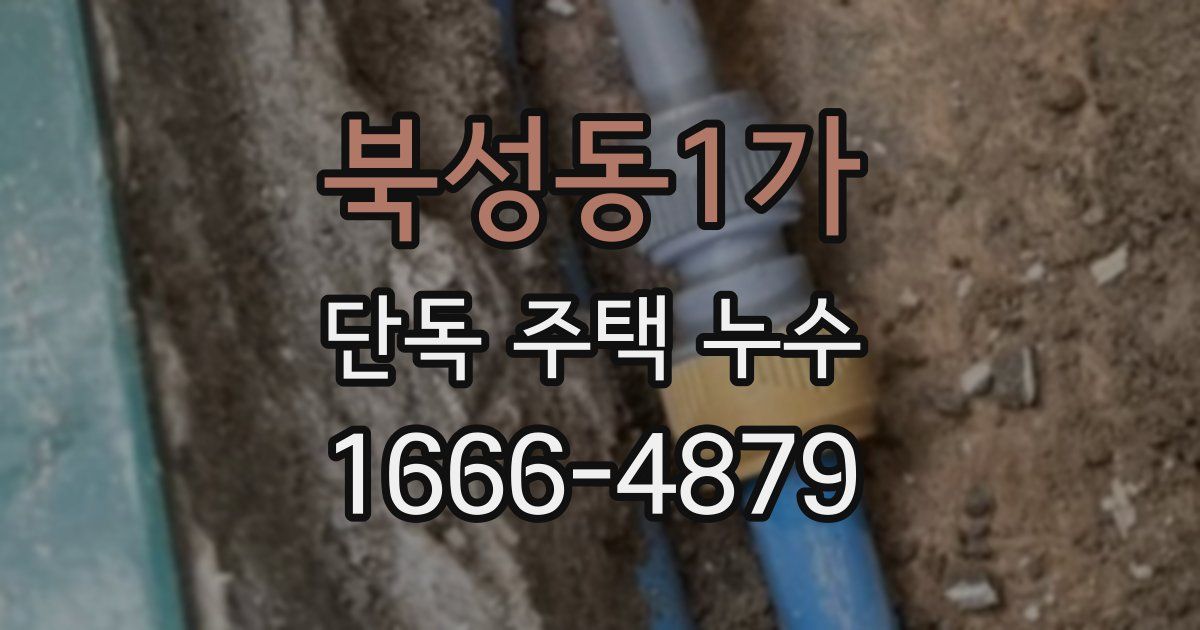 북성동1가 단독 주택 누수