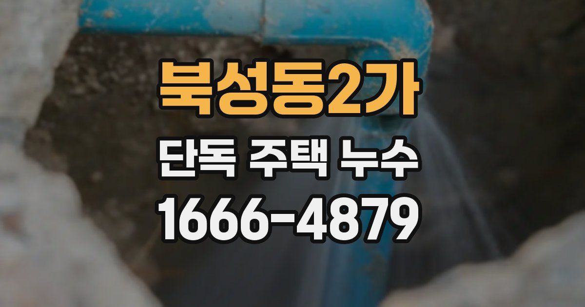 북성동2가 단독 주택 누수