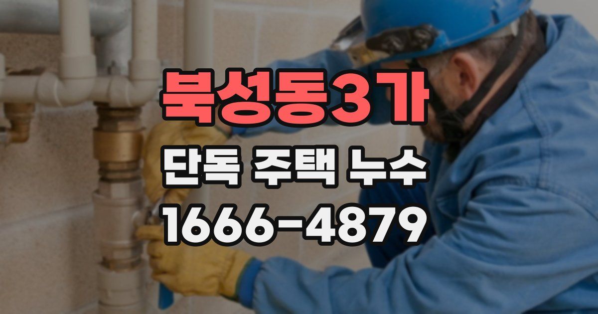 북성동3가 단독 주택 누수
