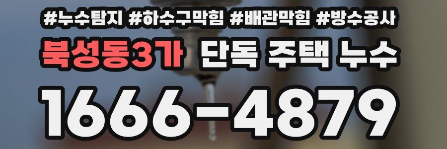 북성동3가 단독 주택 누수