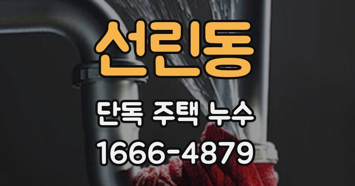 선린동 단독 주택 누수