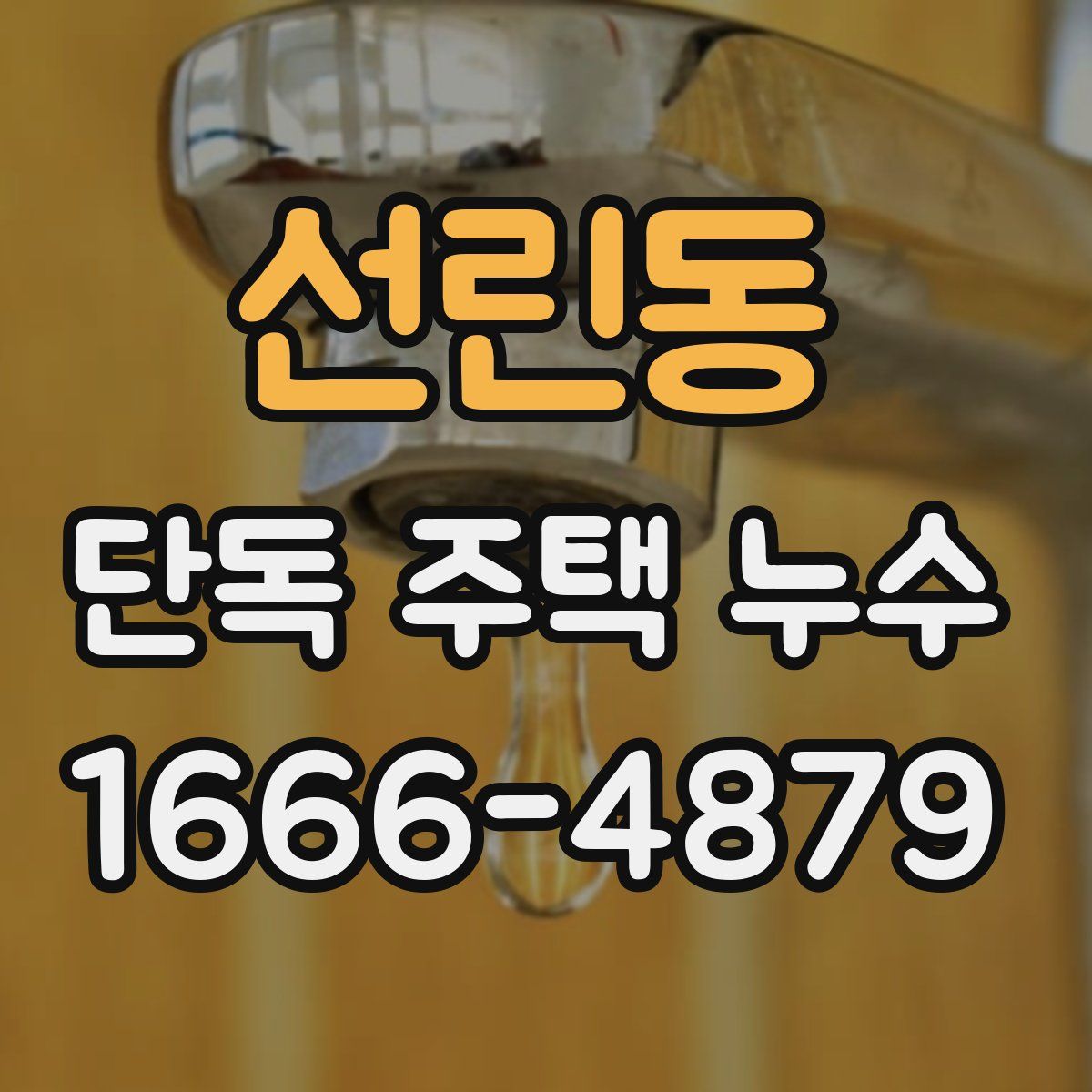 선린동 단독 주택 누수