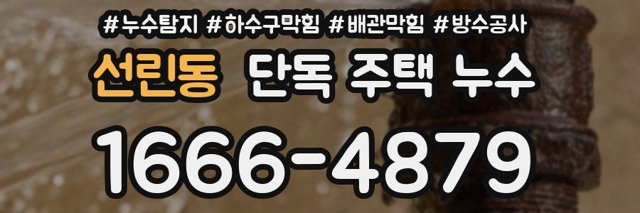 선린동 단독 주택 누수