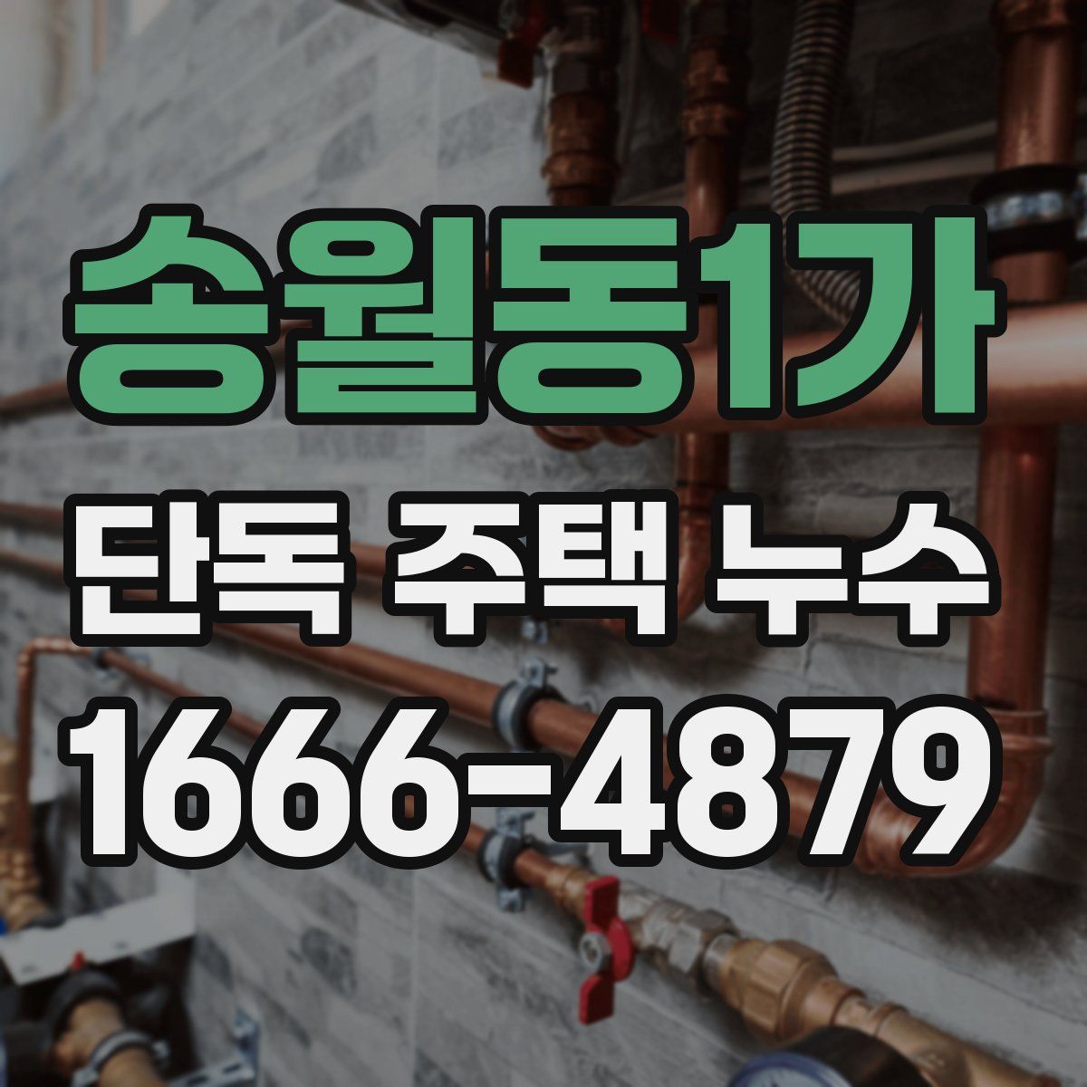송월동1가 단독 주택 누수