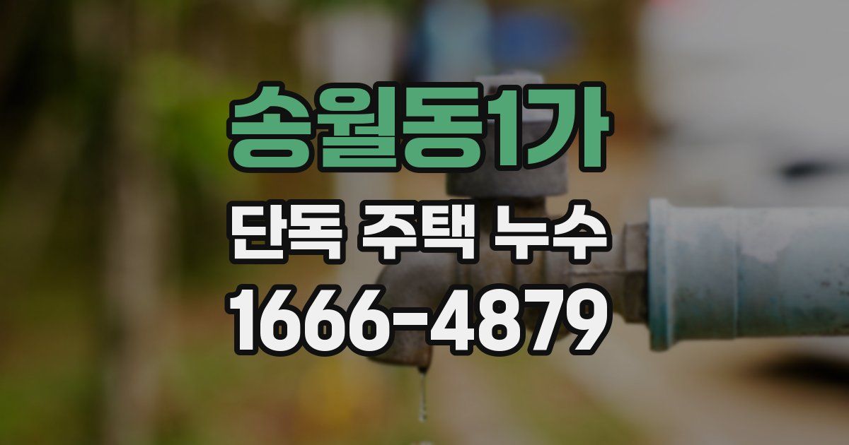 송월동1가 단독 주택 누수