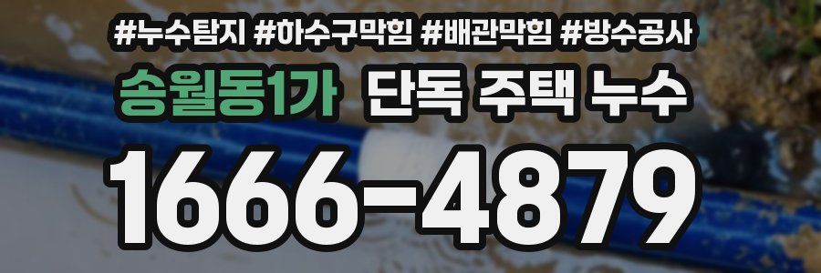 송월동1가 단독 주택 누수