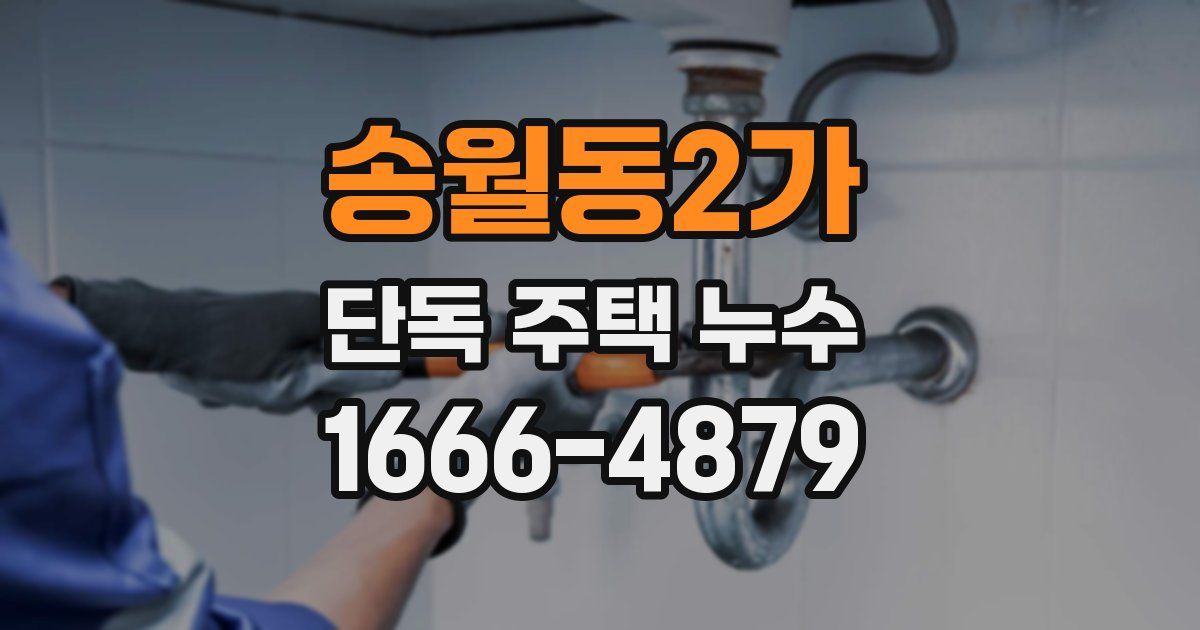 송월동2가 단독 주택 누수