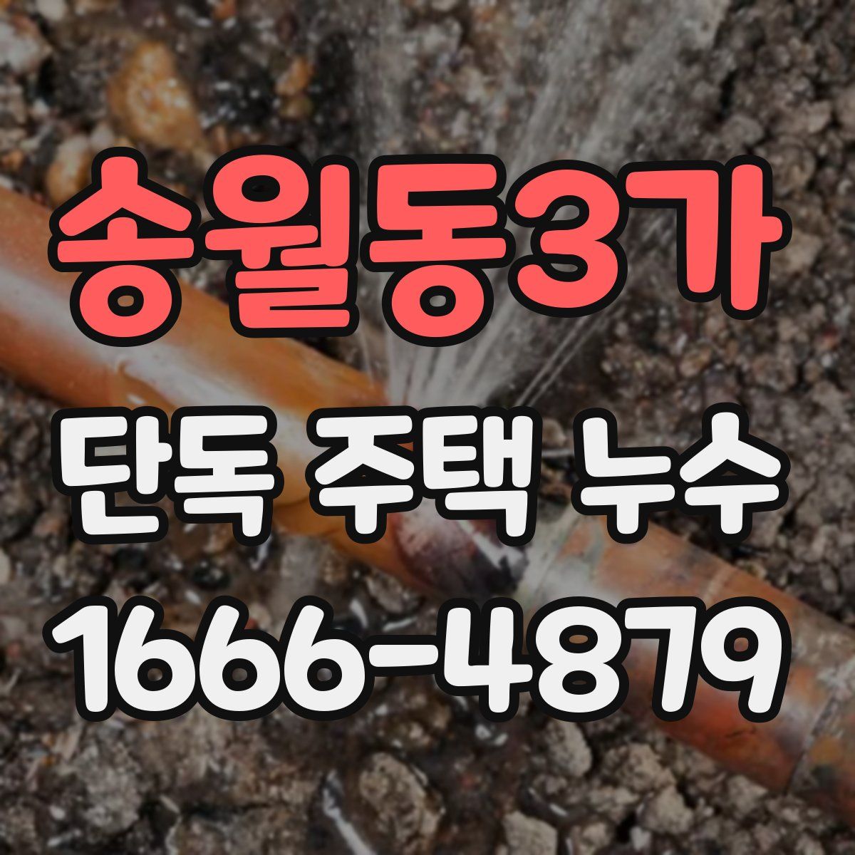 송월동3가 단독 주택 누수