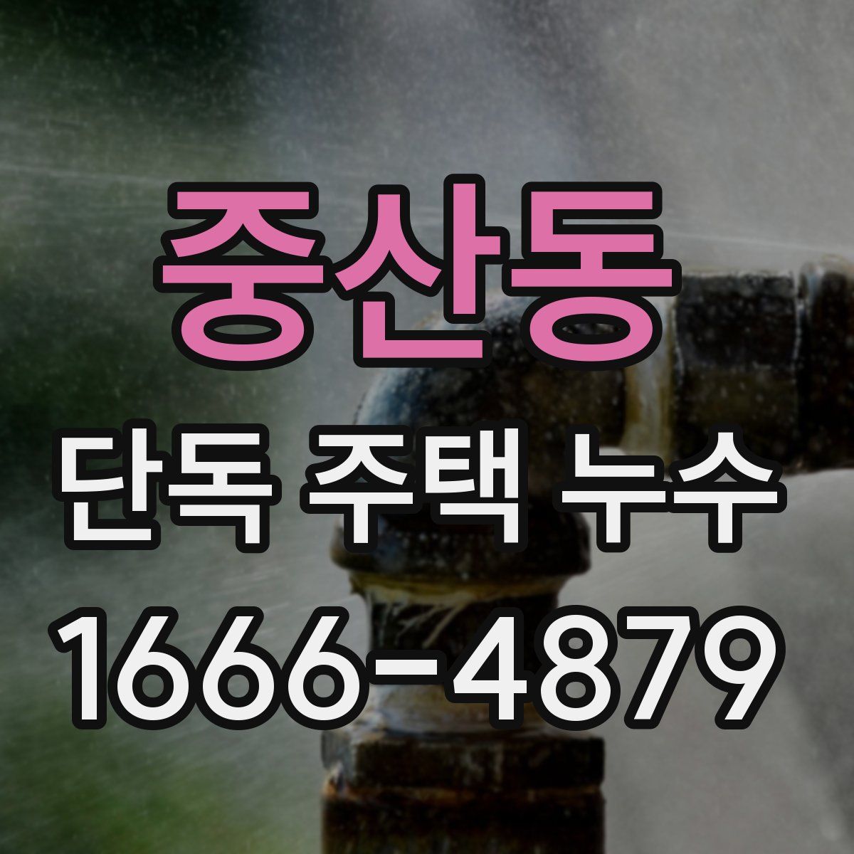 중산동 단독 주택 누수