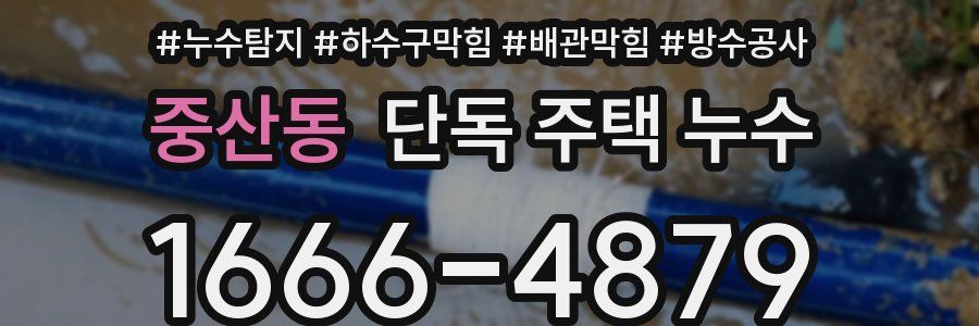 중산동 단독 주택 누수