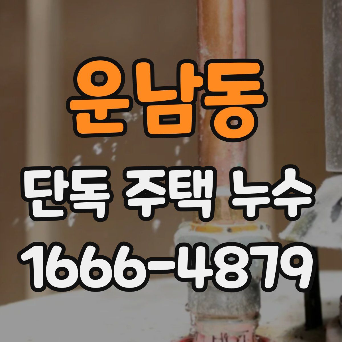 운남동 단독 주택 누수