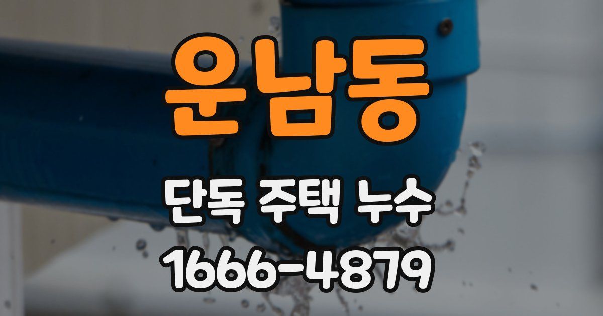 운남동 단독 주택 누수