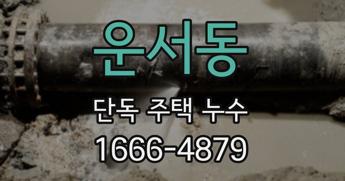운서동 단독 주택 누수