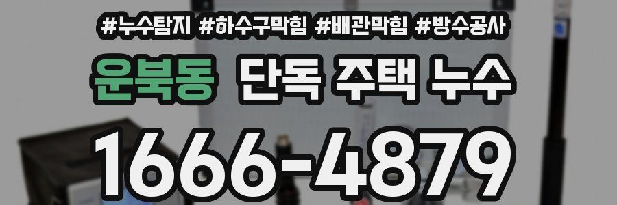 운북동 단독 주택 누수
