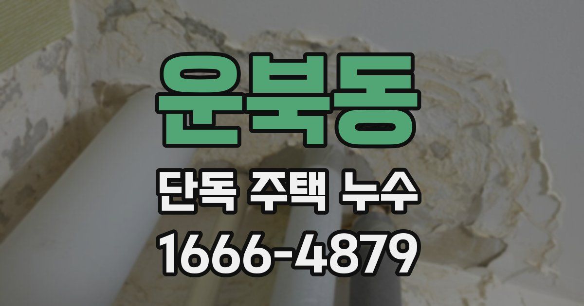운북동 단독 주택 누수