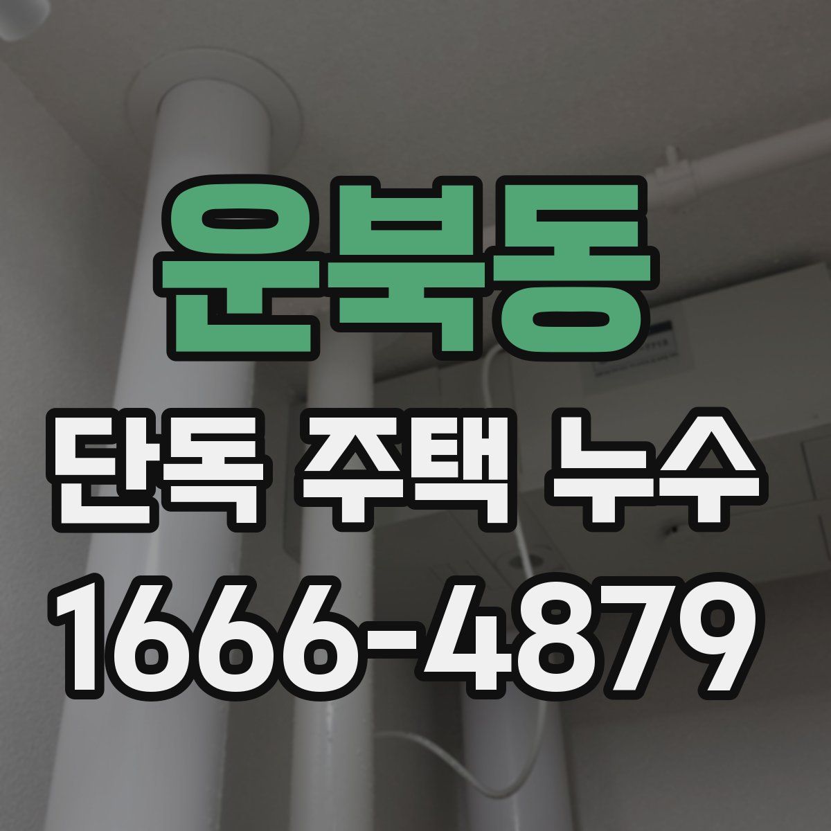 운북동 단독 주택 누수