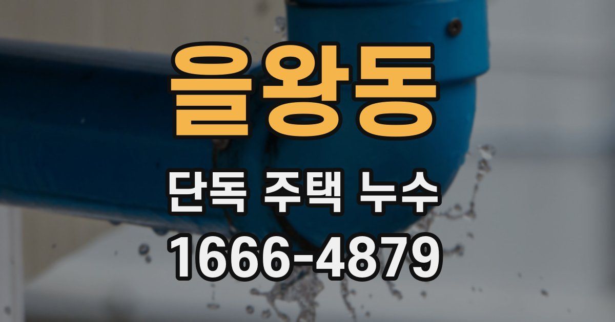 을왕동 단독 주택 누수
