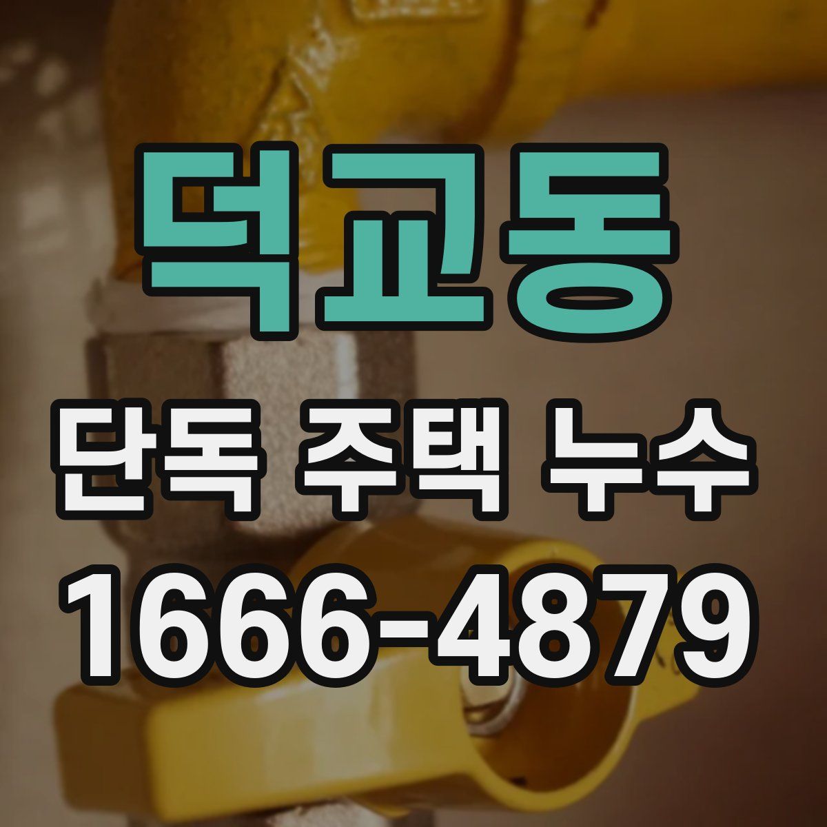 덕교동 단독 주택 누수