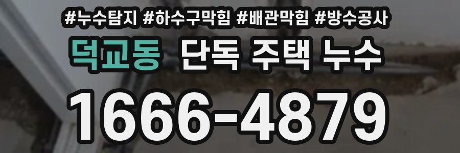 덕교동 단독 주택 누수