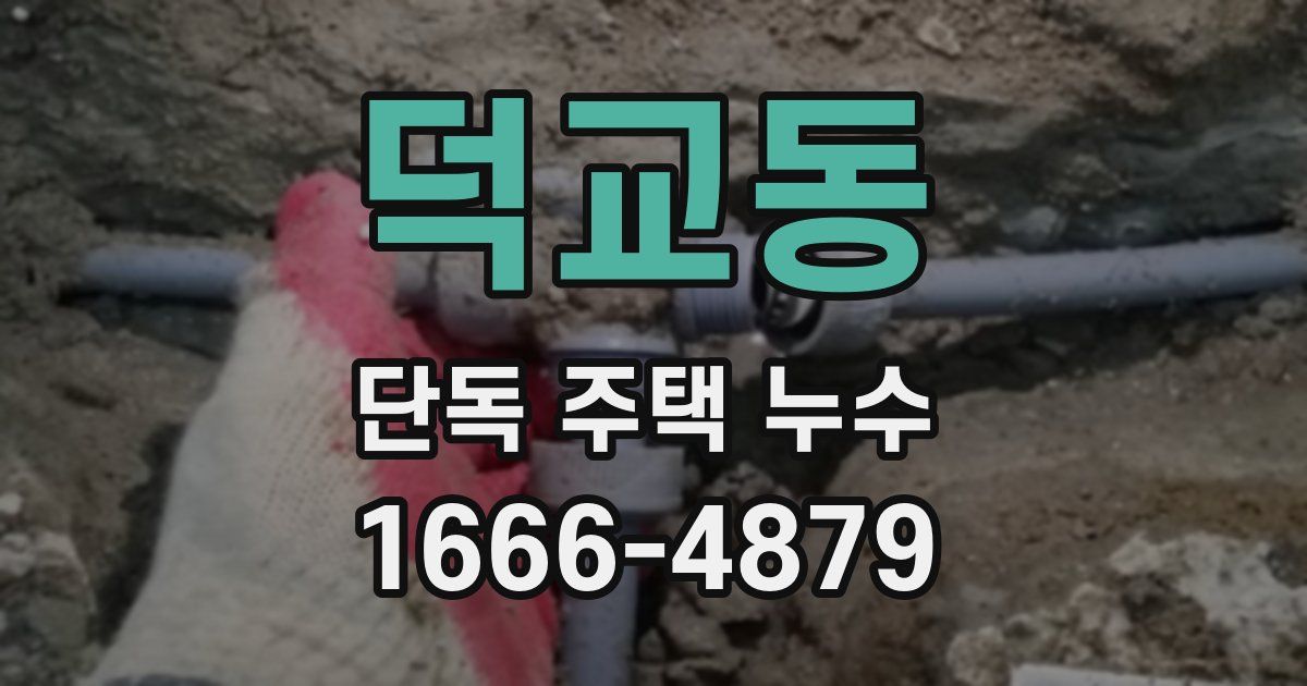 덕교동 단독 주택 누수