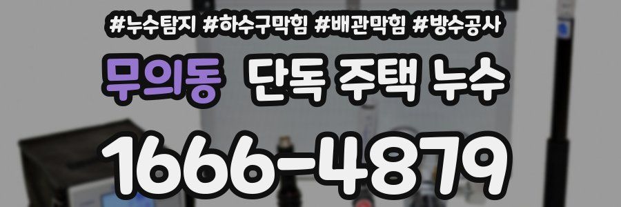 무의동 단독 주택 누수