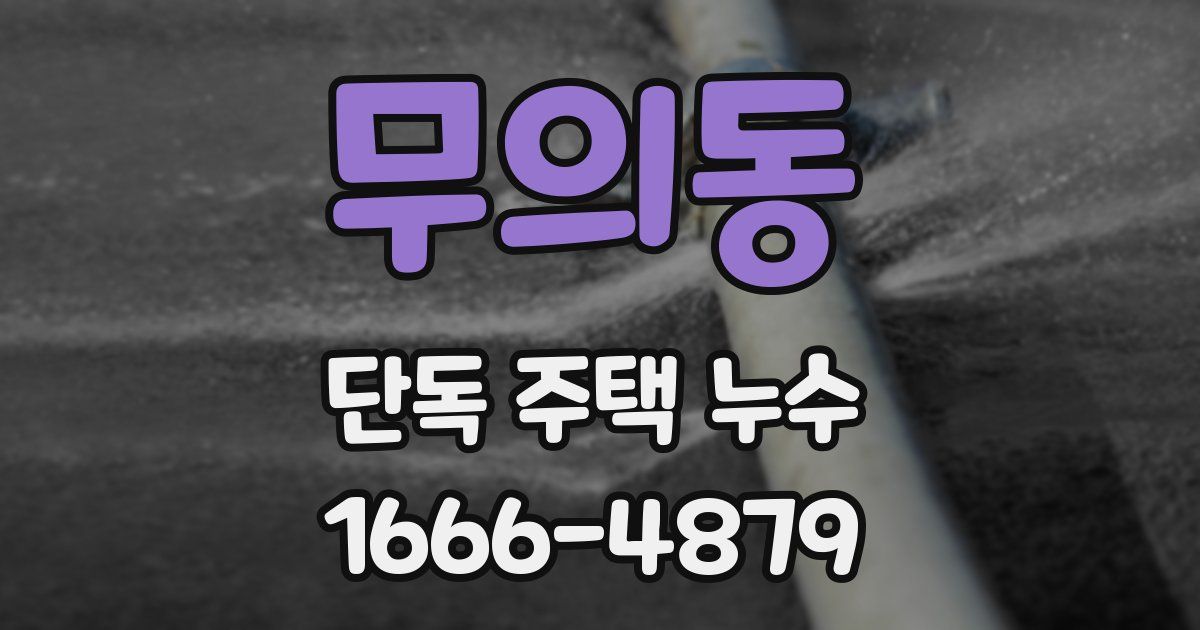 무의동 단독 주택 누수