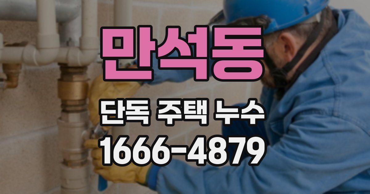 만석동 단독 주택 누수
