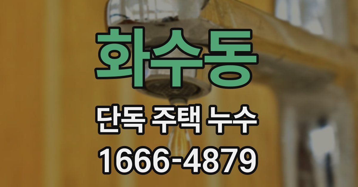 화수동 단독 주택 누수
