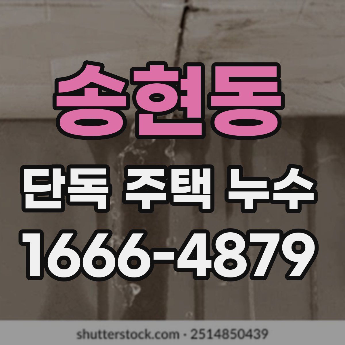 송현동 단독 주택 누수