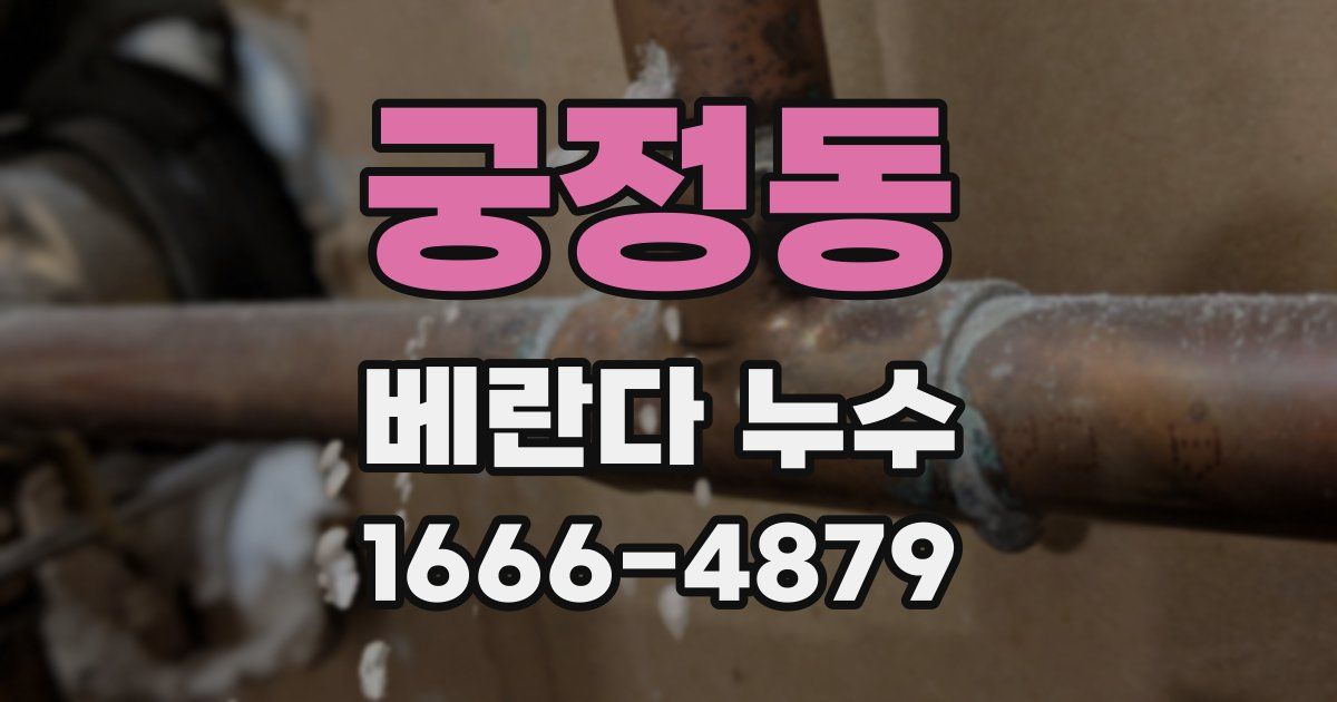 궁정동 베란다 누수