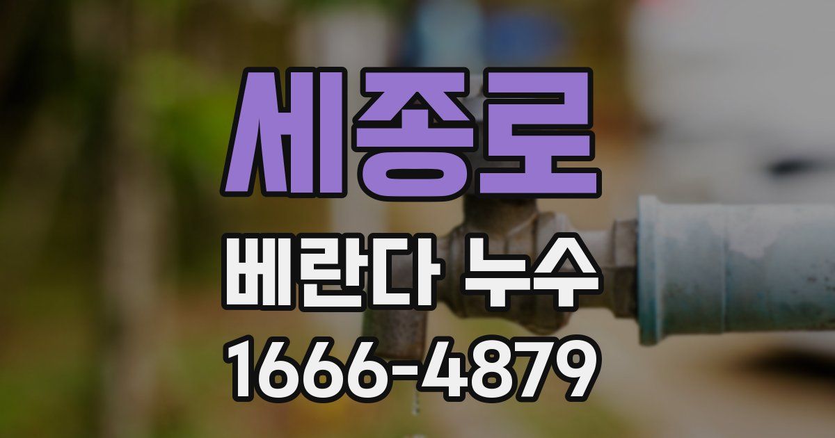 세종로 베란다 누수