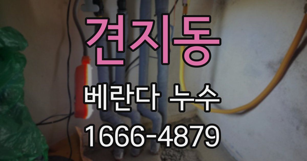 견지동 베란다 누수