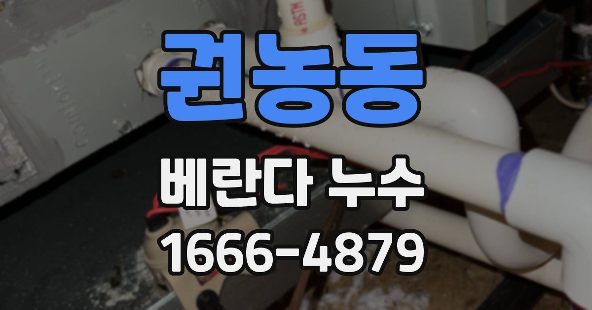 권농동 베란다 누수